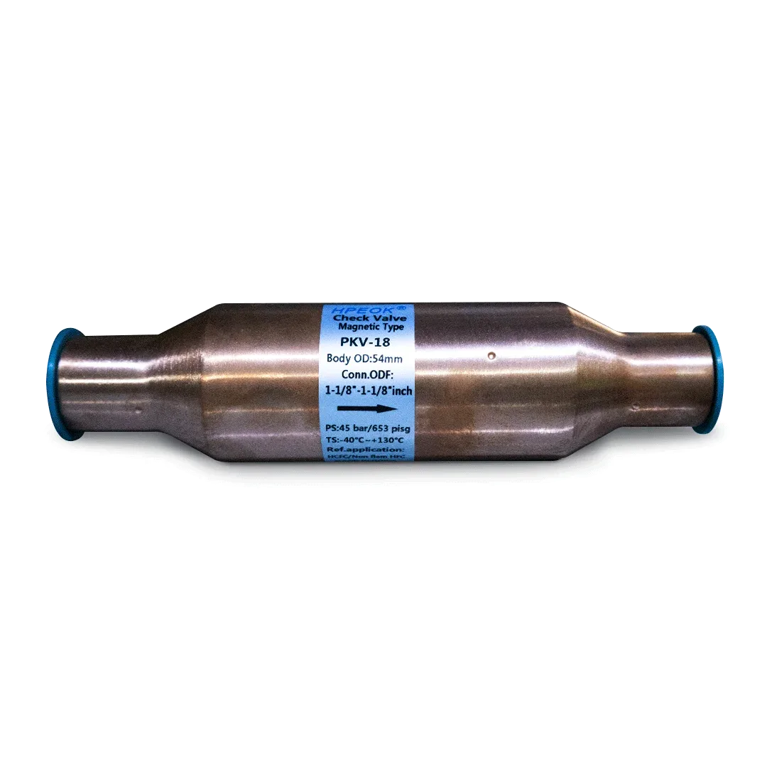 Valvula de retencion (check) Magnetica PKV- 12 – 3/4″