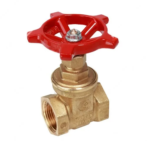 VALVULA COMPUERTA LATON C/R NPT GIACOMINI R55